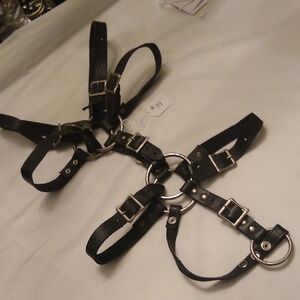 Leather & Ring Harness, #37